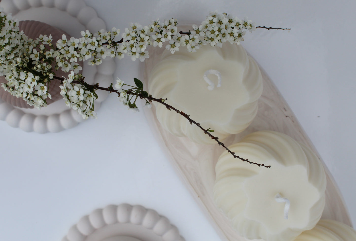 Svea – Där Ljus och Natur Möts