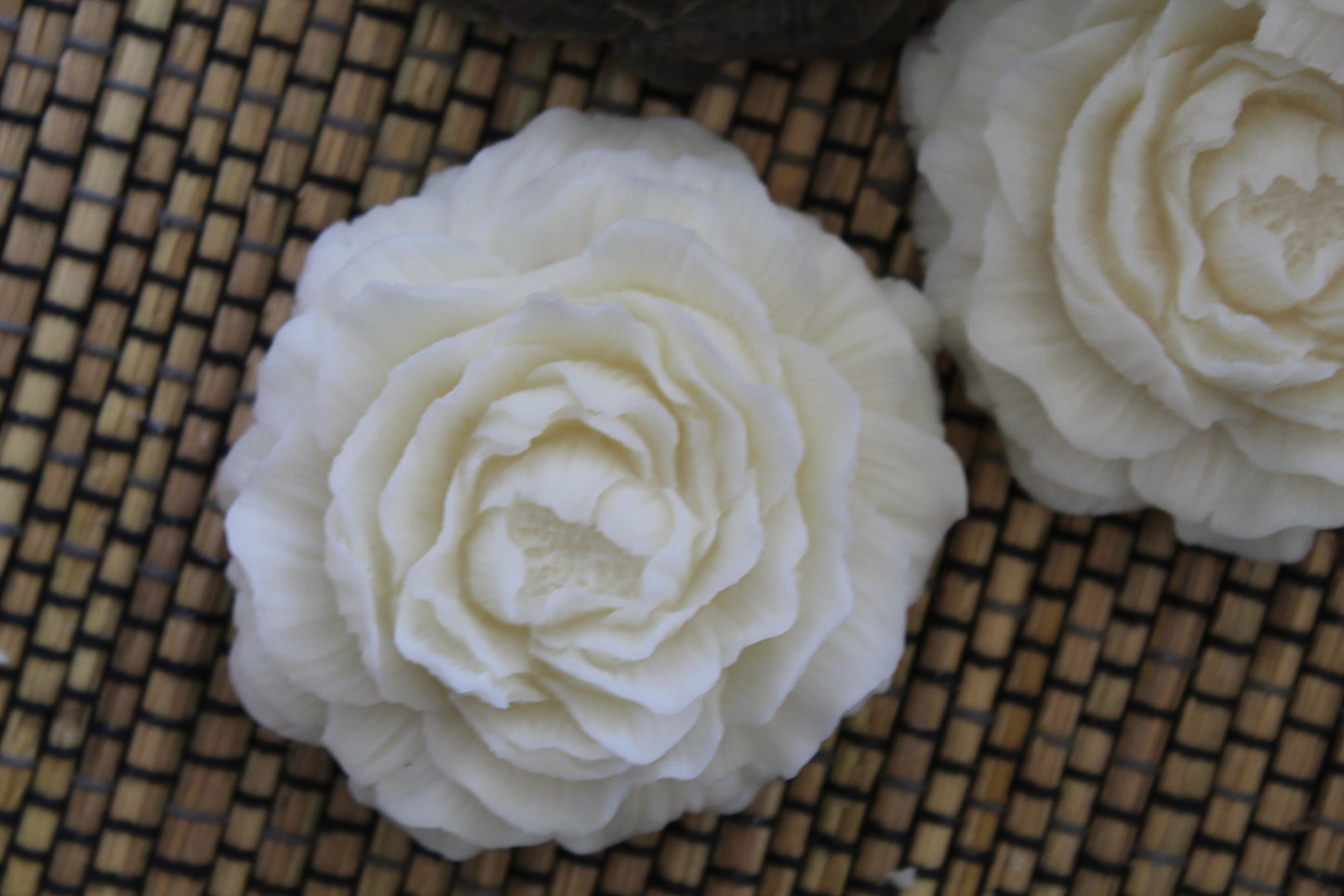 Camellia – Evig blomsterpoesi i ljusets form