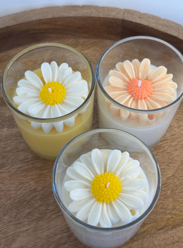 Solvia – där solen bor