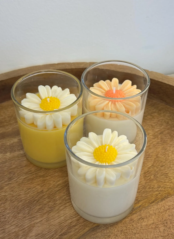 Solvia – där solen bor